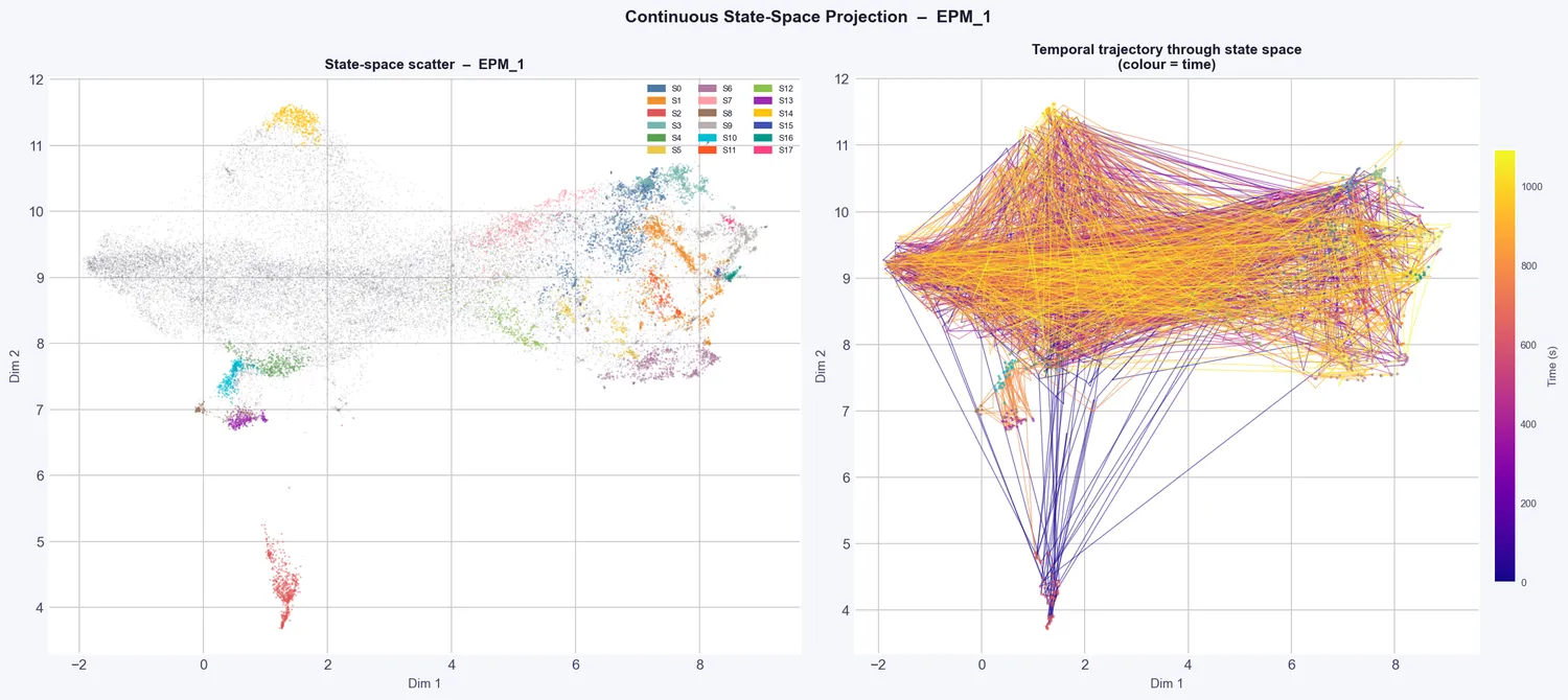 State-space projection of elevated plus maze clusters