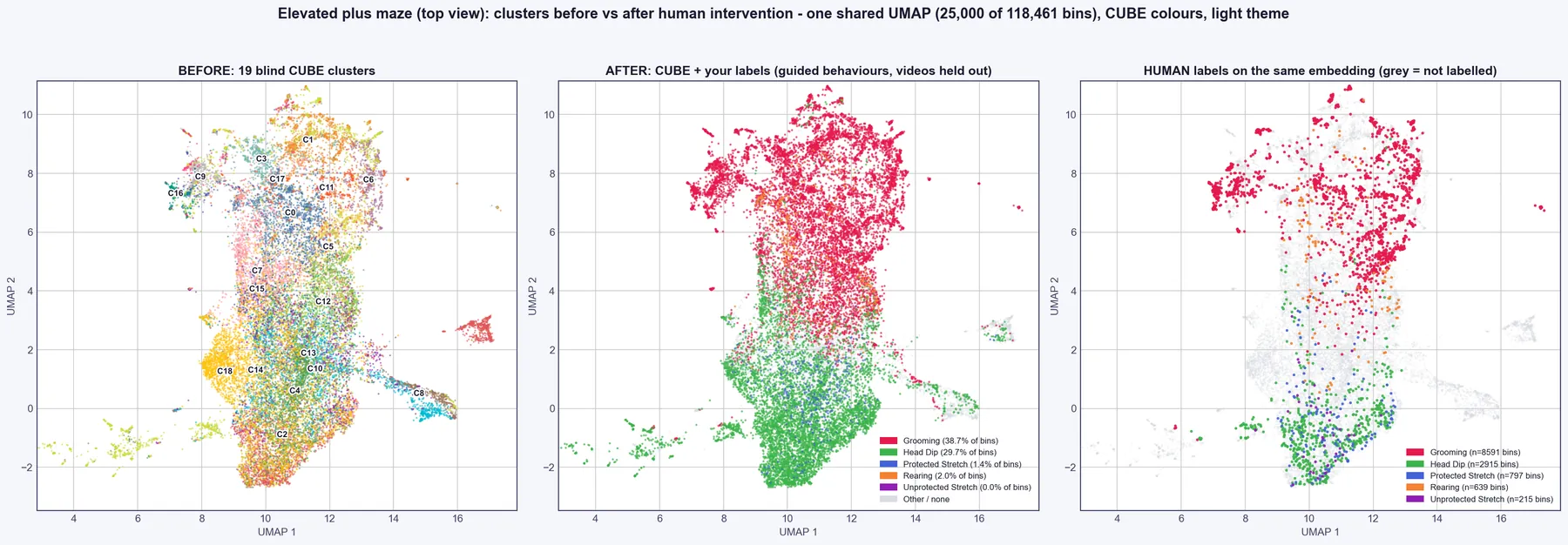 Elevated plus maze UMAP before and after guided labelling