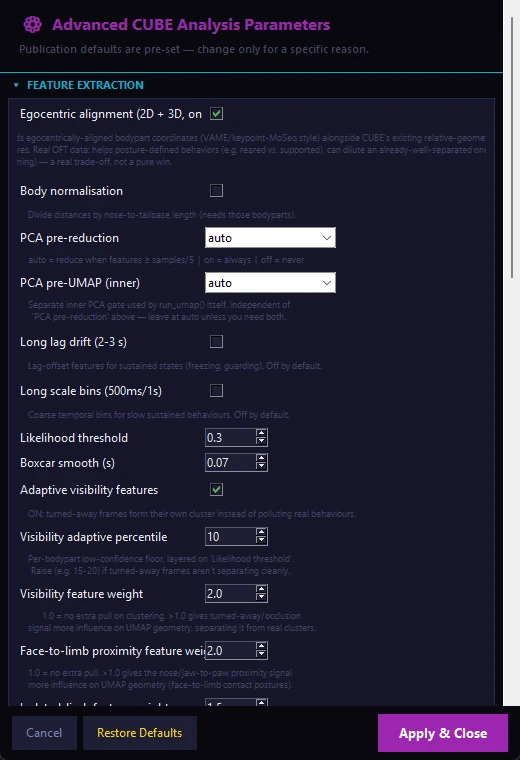 The Advanced CUBE Analysis Parameters window