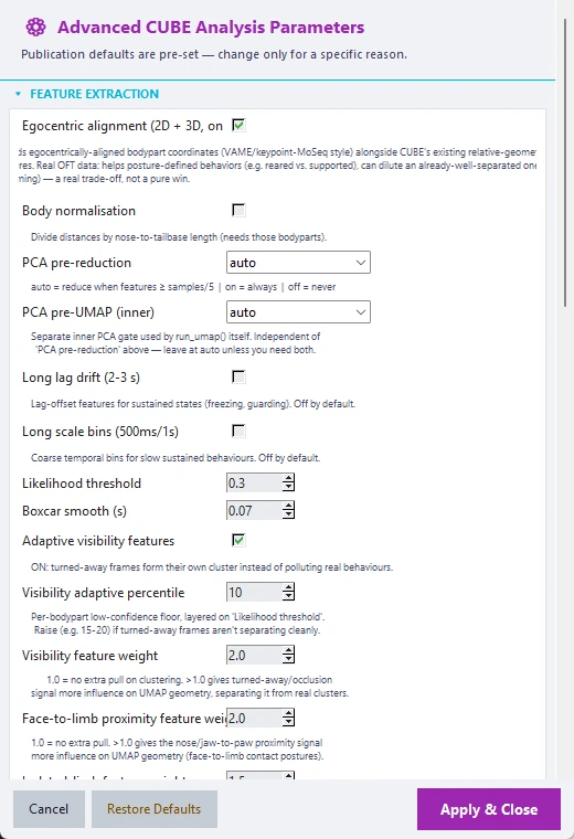 The Advanced CUBE Analysis Parameters window