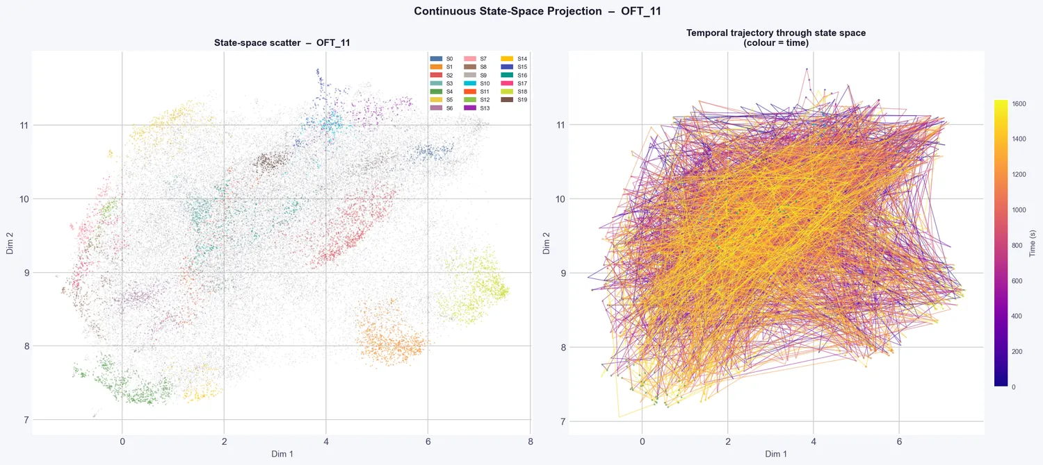 State-space projection of open field clusters