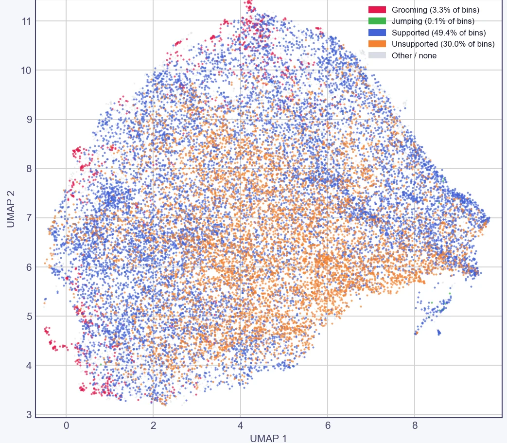 The same UMAP coloured by behaviour names from guided labelling