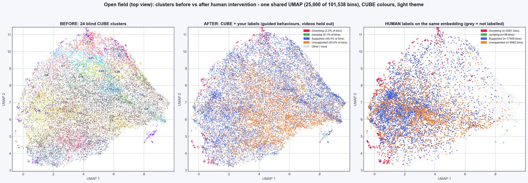 Open field UMAP before and after guided labelling