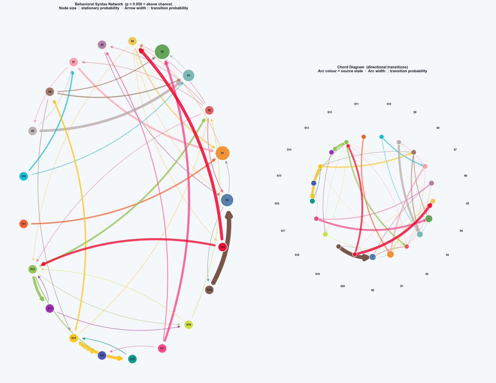 Behavioural syntax network and chord diagram of state transitions