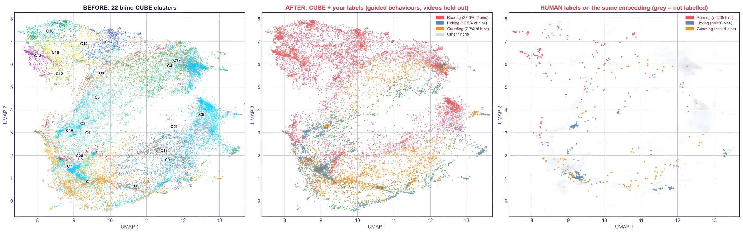 Side-view UMAP: blind clusters, CUBE with guided labels, and human labels