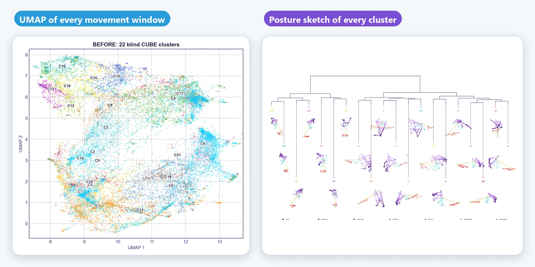 UMAP embedding of movement windows with posture sketches for individual clusters