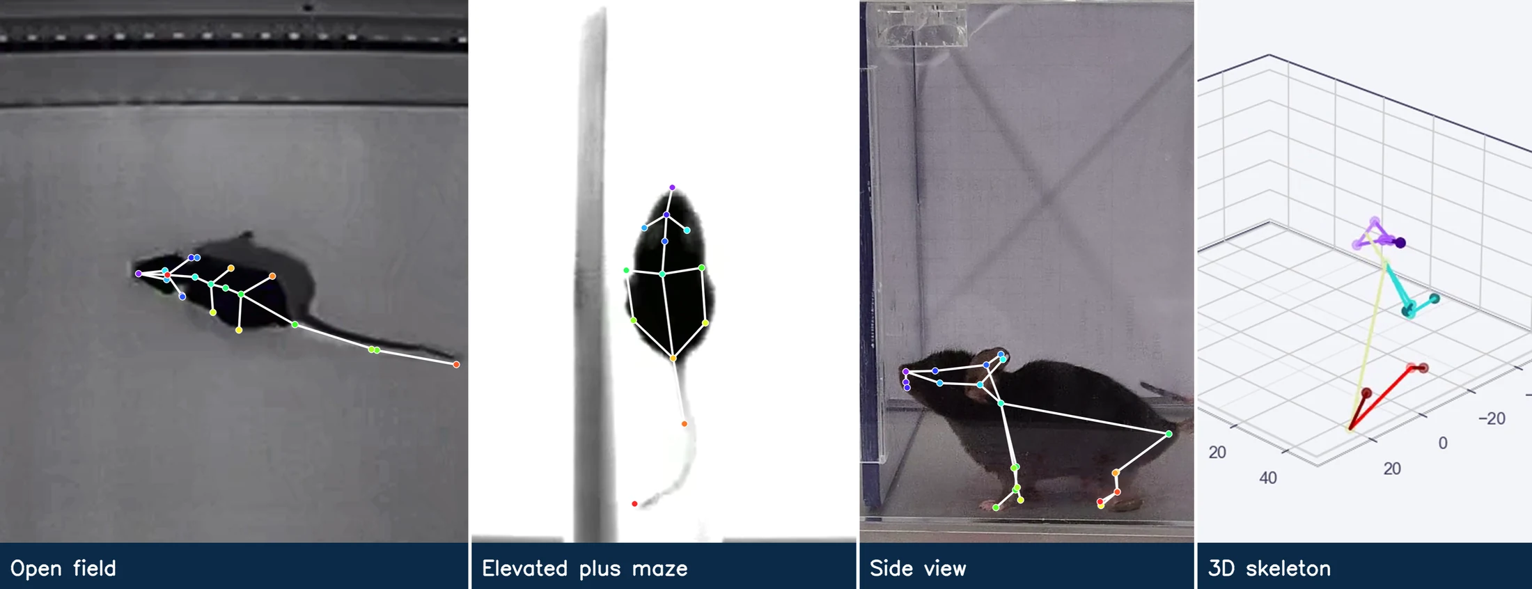 Pose tracking on open field, elevated plus maze and side view, and a 3D skeleton